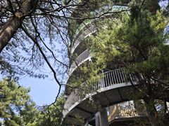 -秦岭天竺山景区