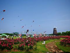 -漩门湾国家湿地公园