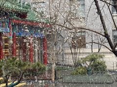 -庐灶江南·江南菜·四合院Bistro(东直门雍和宫·原华侨宾馆店)