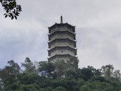 -深圳国际园林花卉博览园