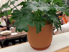 -新旺茶餐厅(鑫耀·光环live店)