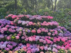 -沈阳植物园