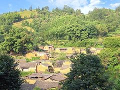 -杨家堂村