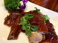 -顺德了能馆(虎门店)