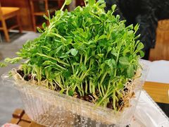 -常赢三兄弟·清真涮肉·清真炒菜(朝阳新城店)