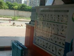android_upload_pic-创凡宠物医院·骨专科  猫科中心(西乡分院)