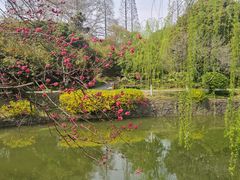 -南山风景名胜区