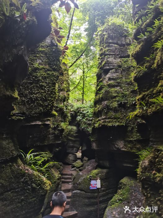 梭布垭石林景区图片