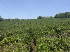 -南京市江宁方山