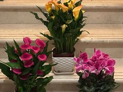 -双季花艺园艺市场(浦东店)