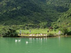 -靖西鹅泉风景区