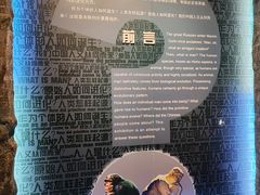 -国家自然博物馆