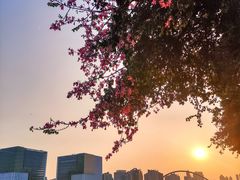 -海心沙亚运公园