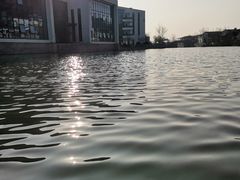 -湘湖金融镇