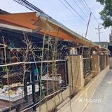 御凤甲柴火鸡