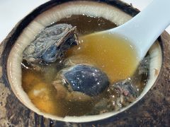 椰子鸡煲汤-华南师范大学石牌校区陶园