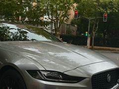 -天猫养车贴膜轻改·蓝电(优匹康桥东路店)