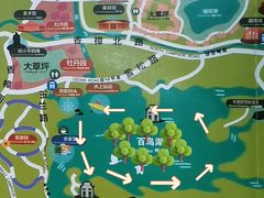 -上海海湾国家森林公园