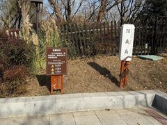-长兴太湖图影湿地文化园