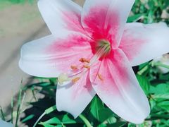 -长春公园(普阳街道)