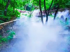 -北京西山国家森林公园