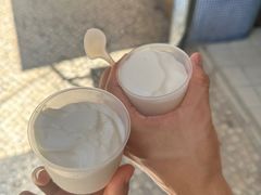 -洪馨椰子