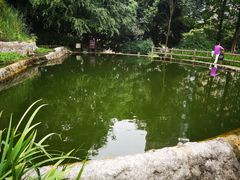 -成都市活水公园