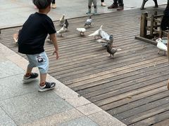 -西湖外事游船(湖滨二公园外事游船码头)