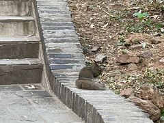 -红螺寺