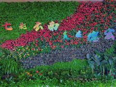 -德宏芒市国际机场