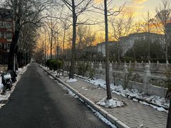 -斯多格书乡(北京大学畅春园店)