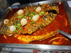 -鱼酷活鱼烤鱼(昆明路店)