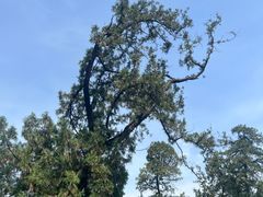 -北京西山国家森林公园