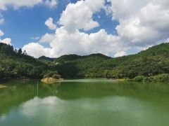 -广州白江湖森林公园