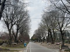 -南通洲际绿博园