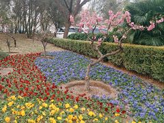 -元大都城垣遗址公园