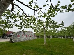 -上海海湾国家森林公园