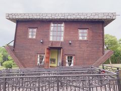 -金山农民画村-枫泾波兰倒置屋
