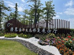 -芒洲湿地公园