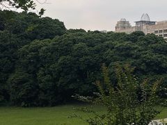 -风云岭森林公园