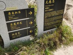 -湄洲岛