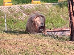 -秦皇岛野生动物园