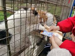 -成都爱之家动物救助中心