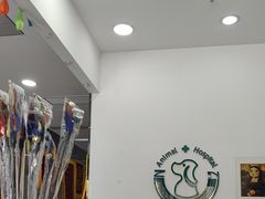 -中农国际动物医院24小时·猫科·骨科·急重症中心