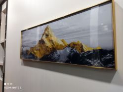 -DEM缔怡美科技美容