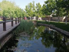 -三里河公园