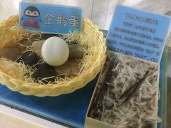 -南昌海洋公园