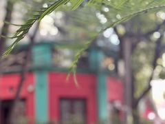 -秀·爱尔兰餐吧(上海路店)