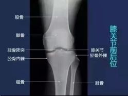 -安吉拉青春化管理中心