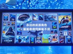 -重庆欢乐海底世界